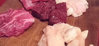 上質な肉を求めて岐阜遠征～ファンボギ～【グルメ部イベント報告】