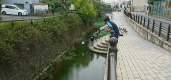 【⑧釣り部】25年を経て、やっと辿りついた 名古屋の外来種の巣窟