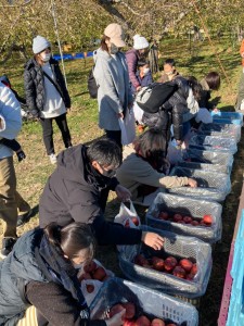 LINE_ALBUM_🍎1128(日)りんごの収穫体験_211206_5