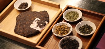 〈活動報告〉中国茶部②　中国茶について学ぼう